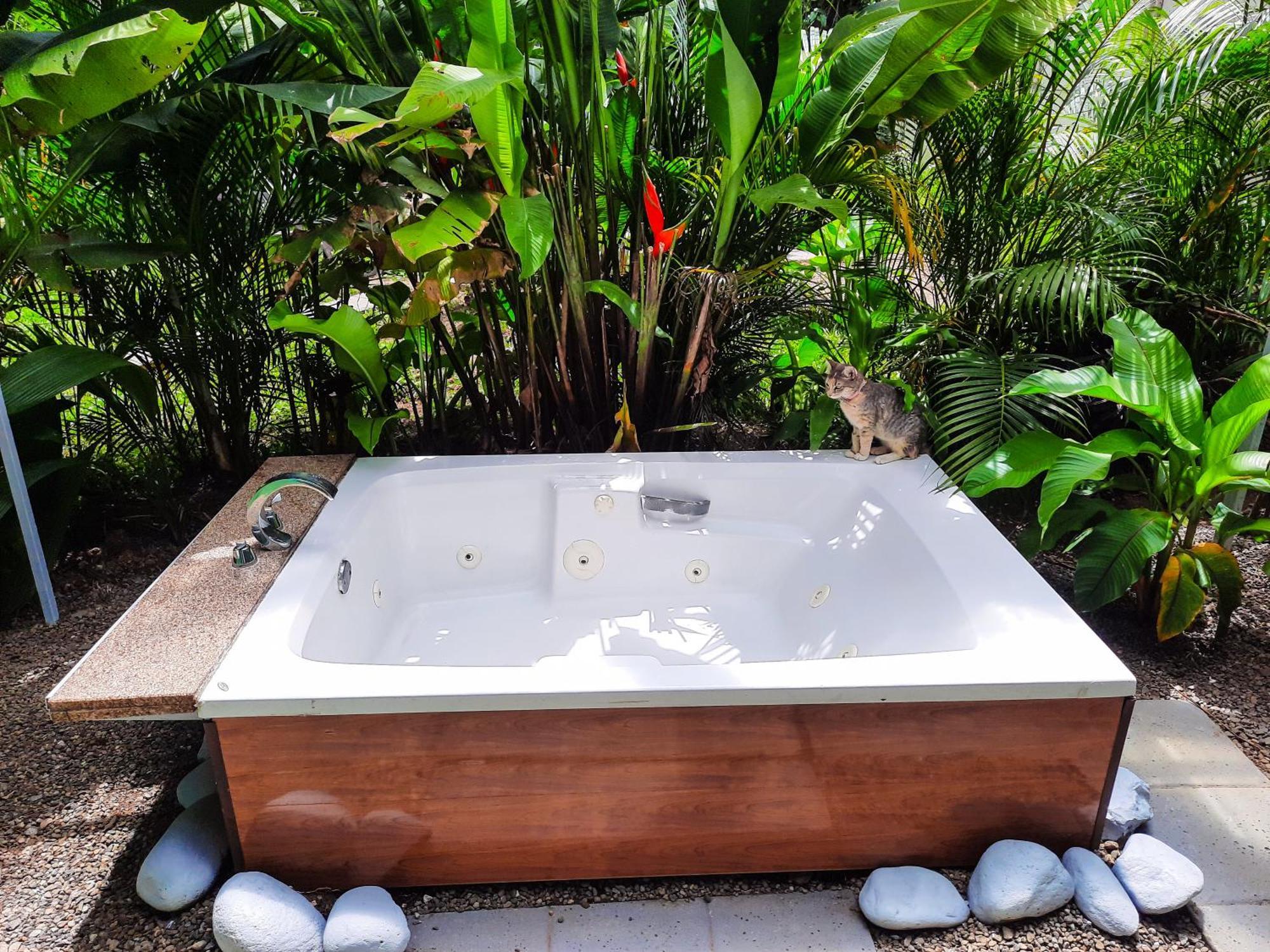 Country Villa La Fortuna ห้อง รูปภาพ
